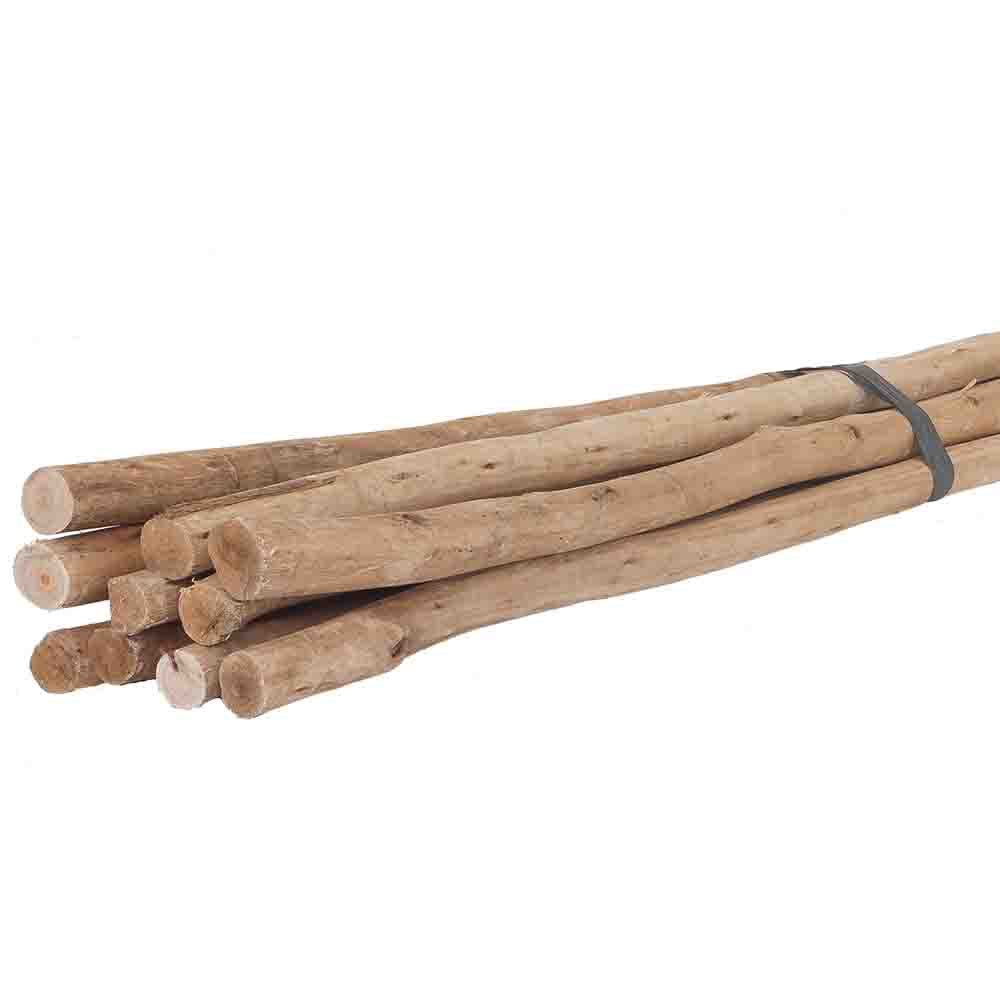 Uniqwa Eucalyptus Latte Poles Bundles of 10