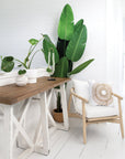 Sumbe Timber Occasional Chair | White Seat Cushion