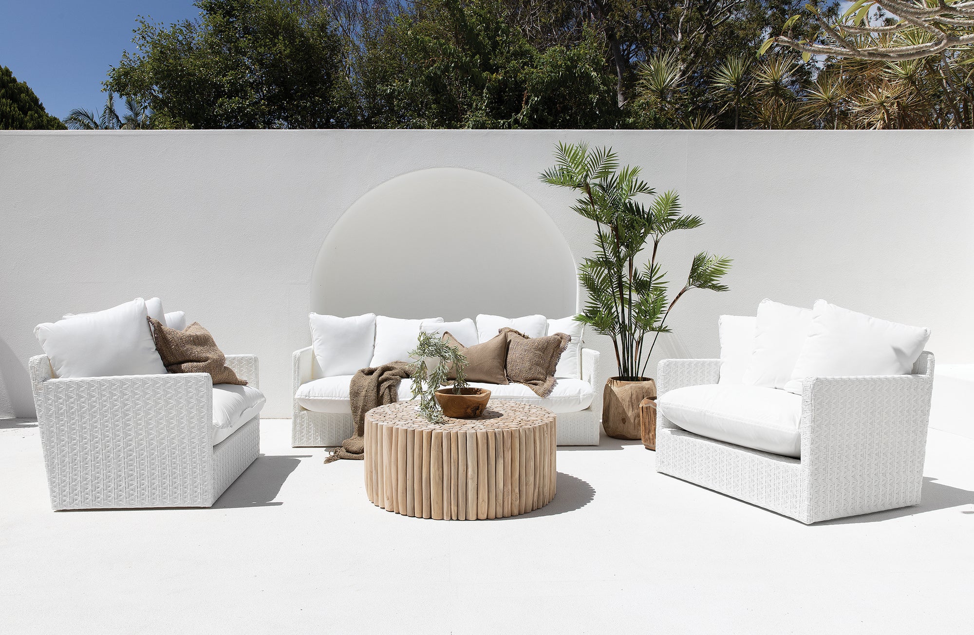 Latte Teak Branch Coffee Table