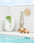 A serene outdoor setting featuring handcrafted wooden hippo sculptures by the poolside, accompanied by a white ceramic planter with cascading greenery and natural woven decor