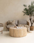 A beautifully styled living space featuring a rattan sofa with taupe cushions, a round natural wood coffee table, and a handwoven throw, complemented by an olive tree in a woven planter.